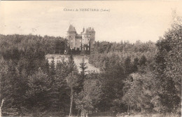 Delcampe - CPA Château De Noirétable 42 Loire Comtesse De Bremond - Noiretable