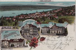 Beinwil Am See, Gruss Aus - Farbige Litho - Hotel Löwen, Post, Bahnhof, Konsum Verein - Beinwil Am See