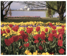 (881) Australia - SACT - Canberra Floriade (1989) - Canberra (ACT)