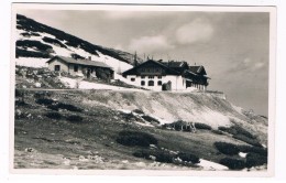 Ö-2954    SCHNEEBERG : Eisenbahnhotel Hochschneeberg - Schneeberggebiet