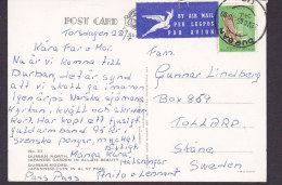 South Africa PPC Durban North Japanese Garden AIR MAIL Lugpos Par Avion Label DURBAN 1965 Corn Stamp (2 Scans) - Poste Aérienne