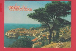CPM * Yougoslavie * 1980 * DUBROVNIK * Pozdrav Iz Dubrovnika *SUP=>Sca Recto/verso - Yougoslavie