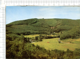 WITTLICH    -  Blick  Auf  Unkenstein  Und   Viadukt - Wittlich