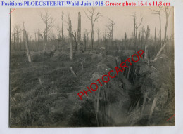 PLOEGSTEERT Wald-Positions-Tranchees-Grosse PHOTO Allemande-Guerre 14-18-1 WK-BELGIEN-Flandern-1918- - Komen-Waasten