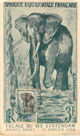 Pointe Noire Carte Maximum éléphant - Pointe-Noire