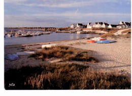 Trégunc - Le Port De Trévignon - Trégunc