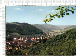 HORB   -  Panorama - Horb