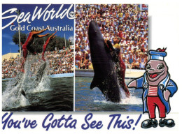 (150) Australia - QLD - Seaworld Dolphin - Gold Coast