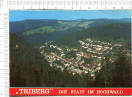 "  TRIBERG  "    Die  Stadt   Im   HOCHWALD - Hochschwarzwald