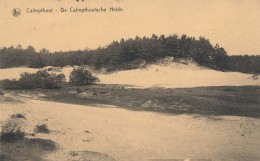 Kalmthout / Calmpthout:  De Calmpthoutsche Heide (De Kalmthoutse Heide) - Kalmthout