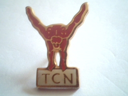 TCN, Troyas Chapeiie Natation,plongeur - Schwimmen