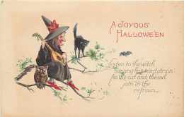 241639- Halloween, Stecher No 1238 C, Witch Playing Mandolin For Owl & Black Cat - Halloween