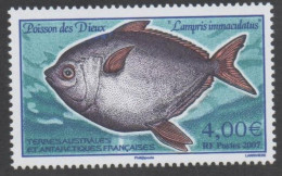 T.A.A.F - Faune - Poisson - Poisson Des Dieux (Lampris Immaculatus) - - Nuovi