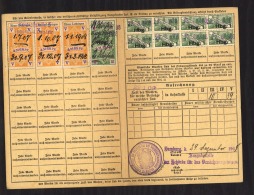 04816  -   France  -  Alsace-Lorraine  :   Yv   16 + 14  (o) Sur Quittungskarte - Covers & Documents