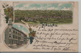 Hallau, Gruss Aus - Farbige Litho - Panoramaansicht, Hotel Falken - Hallau