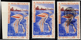 BIRDS-GREATER FLAMINGOS-IMPERF, AN OVPT AND IMPERF COLOR TRIALS-MAURITANNIA-1961-SCARCE-D2-26 - Flamencos