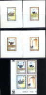 BIRDS-COMMON OSTRICH-WWF-SET OF 4 DELUXE CARDS WITH SETENANT BLOCK-CHAD-1996-ERROR-MNH-SCARCE-D2-10 - Ostriches