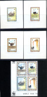 BIRDS-COMMON OSTRICH-WWF-SET OF 4 DELUXE CARDS WITH SETENANT BLOCK-CHAD-1996-ERROR-MNH-SCARCE-D2-10 - Autruches