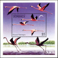 BIRDS-ROSEATE (AMERICAN) FLAMINGOS-MS-DOMINICA-1984-MNH-SCARCE-D2-19 - Flamingos