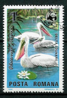 Romania 1984 Worldwide Conservation: Dalmatian Pelican, Birds  Mi 4108 Cancelled(o) - Pélicans