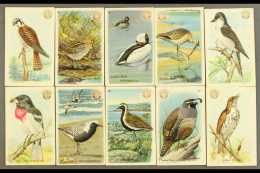 BIRDS 1915 Church & Co's Soda All Different Trade Cards (32) For More Images, Please Visit... - Ohne Zuordnung