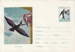 BIRDS, SWALLOW, COVER STATIONERY, ENTIER POSTAL, 1961, ROMANIA - Zwaluwen