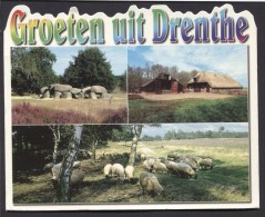 Groeten Uit Drenthe   -  See The 2  Scans For Condition. ( Originalscan !!! ) - Autres & Non Classés