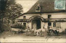 PAYSAGES BÉARNAIS - Ferme Du Camou - Bearn