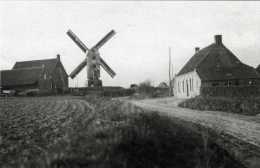 GELUWE Bij Wervik (W.Vl.) - Molen/moulin - De Verdwenen Arkemolen Opgezeild En In Werking Voor Zijn Verwoesting In 1918 - Wervik