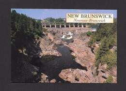 GRAND FALLS - NOUVEAU BRUNSWICK - LES CHUTES DE GRAND FALLS - THE GORGE IN GRAND FALLS - 17 X 12cm - 6¾ X 4¾ Po - Grand Falls