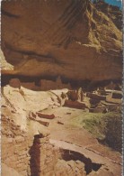 VS.- Long House, Wetherill Mesa. Mesa Verde National Park, Colorado. - Mesa Verde