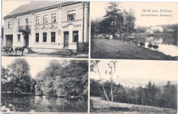 Gruß Aus ZICHTAU Gardelegen Gutshaus Altmark Schweiz Rinderherde Mit Hirte 14.10.1908 Gelaufen - Gardelegen