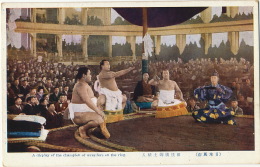 Sumo Japanese Wrestling Lutte Japonaise - Oosterse Gevechtssporten