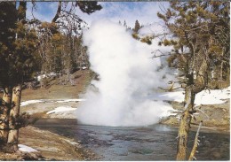 VS. Riverside Geyser. Yellowstone National Park. 2 Scans - USA National Parks