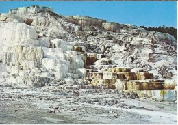 VS.- Minerva Terrace. Yellowstone National Park. 2 Scans - USA National Parks