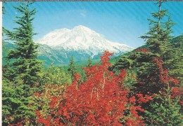 VS.- Mount Rainier National Park Washington State. 2 Scans - USA National Parks