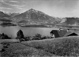 ERHOLUNGSHEIM  CHALET  MOOSHANG  SCHWANDEN (THUNERSEE)     (VIAGGIATA) - Schwanden Bei Brienz