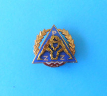 POLAND WRESTLING FEDERATION - Vintage Large Enamel Pin Badge UWW Lutte Lotta Lucha Ringen Luta Anstecknadel Distintivo - Wrestling