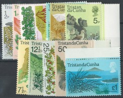 Tristan - Tristan Da Cunha