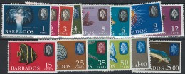 Barbados - Barbades (...-1966)