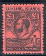 Falklands - Falkland