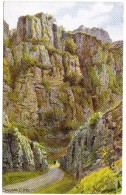 Cheddar Cliffs By A R Quinton - J Salmon 1589 Unused - Quinton, AR