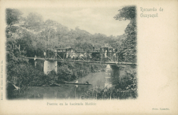 EC GUAYAQUIL / Puente En La Hacienda Matilde / - Equateur