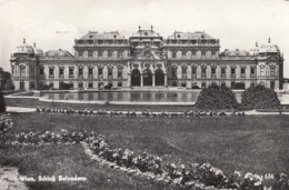 41073- VIENNA- BELVEDERE PALACE, COURT, FOUNTAIN - Belvedère