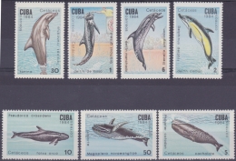 1984.25 CUBA MNH 1984. CETACEOS FISH BALLENAS DELFINES DOLPHIN ORCA. - Neufs