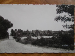 59 - BRAY DUNES - Les Villas Dans Les Dunes. (CPSM) - Bray-Dunes