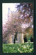 ENGLAND  -  Hambleden Church  Unused Postcard - Buckinghamshire