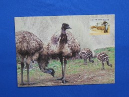 Postal Stationery, Emoe, Emu - Ostriches