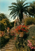 CPSM Escalier Fleuri Au Rayol   L2088 - Rayol-Canadel-sur-Mer