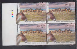 India   2013  Donkey's  Wild Asses  MNH  Block Of 4  #  90142 S  Inde Indien - Burros Y Asnos